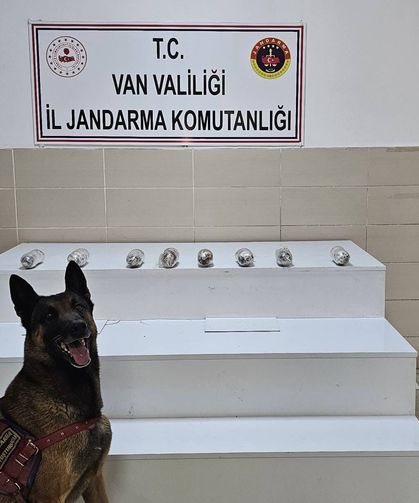Van'da Jandarma geçit vermiyor: Kubar esrar ele geçirildi!
