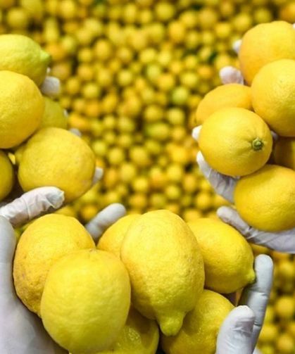 Fiyatı bir anda 100 TL’yi geçti: Cumhurbaşkanı Erdoğan duruma el attı!