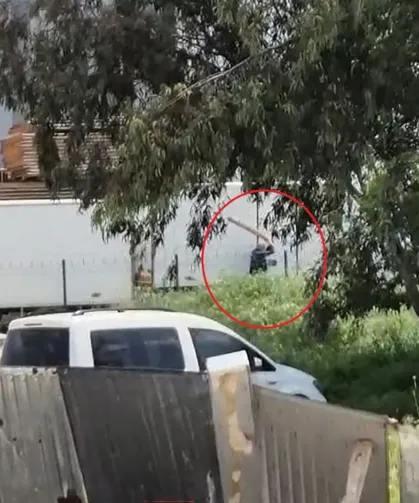 Adana'da sokak köpeğini sopayla döven kişi gözaltına alındı!