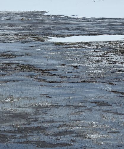 Van, Bahar’da dondu!