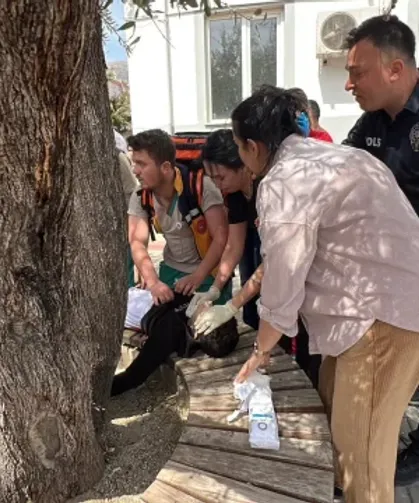 Okul katliamından yaralı kurtulan öğrenci dehşet anlarını anlattı!