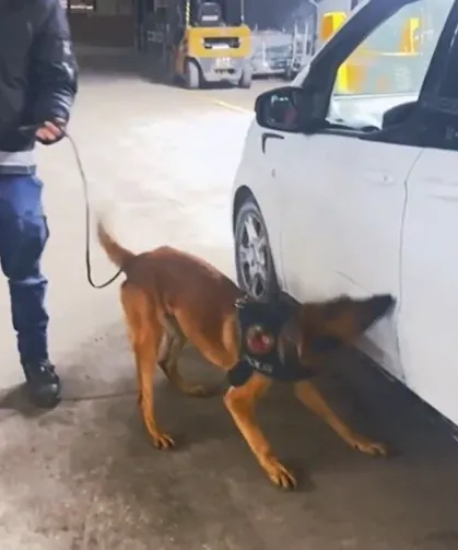 Van’da durdurulan araçta yüklü miktarda esrar çıktı!