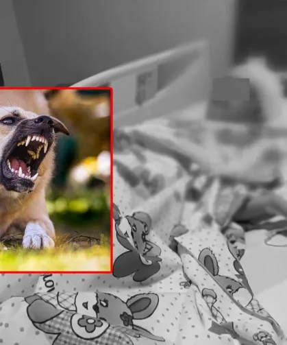Van’da köpek saldırısı sonrası yanıltıcı haberlere soruşturma başlatıldı