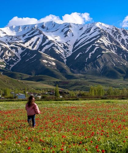 Van’daki Artos Dağı'nın zirvesinde kış, eteklerinde bahar yaşanıyor