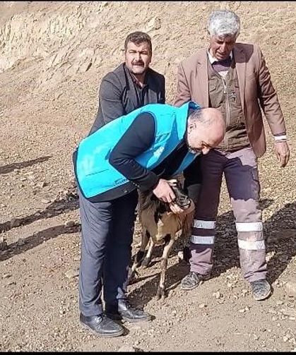 Van’da vatandaşlara doğru kurban nasıl kesilir etiğimi verildi!