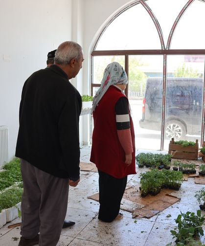 Tuşba’da üreticilere ücretsiz sebze fidesi desteği yapıldı!