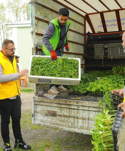 İpekyolu Belediyesi Erçek’te 80 Bin Sebze Fidesi Dağıttı