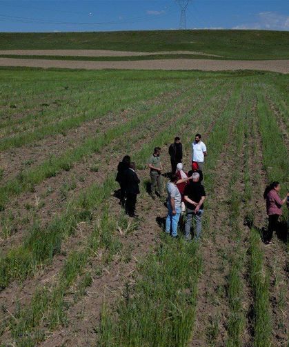 Tuşba’da çiftçilere fidan, sebze fidesi ve toprak analizi desteği