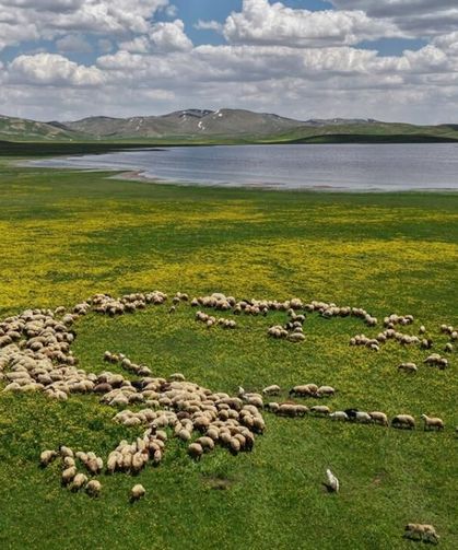 Van’daki Keşiş Gölü eşsiz doğasıyla ilgi odağı oldu