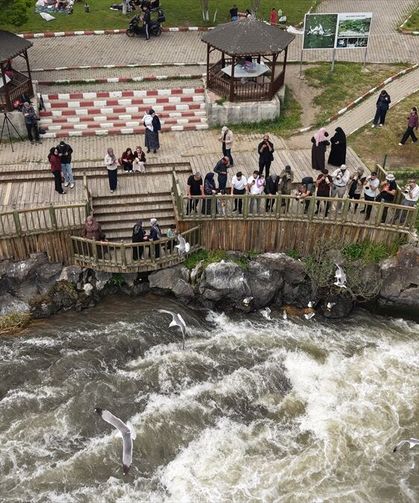 Duyan buraya akın ediyor: Dünyada sadece Van’da görebilirsiniz!