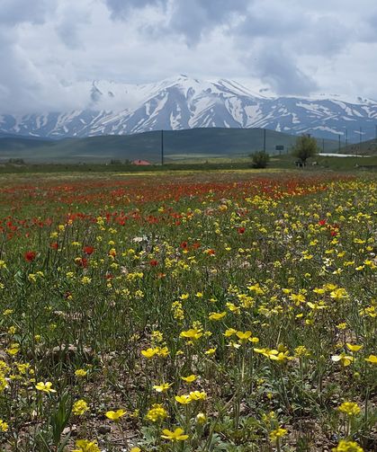 Fotoğraf tutkunları Van’a akın ediyor: Bu manzara başka yerde yok!