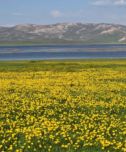 Van'ın saklı cenneti: Tam 2 bin 800 yıllık!