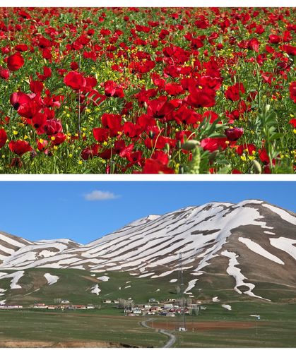 Van’da aynı karede iki farklı dünya
