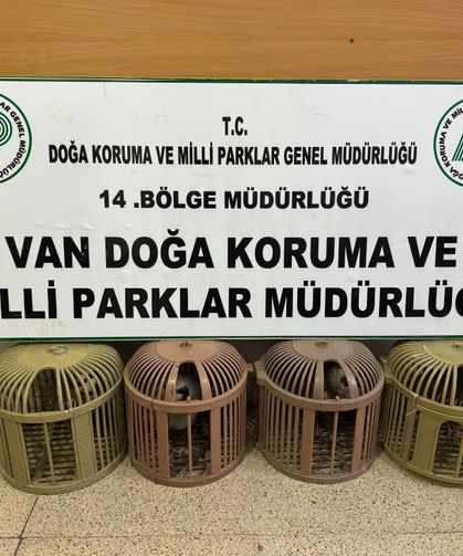 Van’da kaçak avcılara ağır darbe: On binlerce lira ceza!