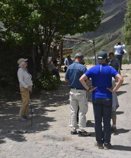Van Gölü manzarası için alana akın ettiler