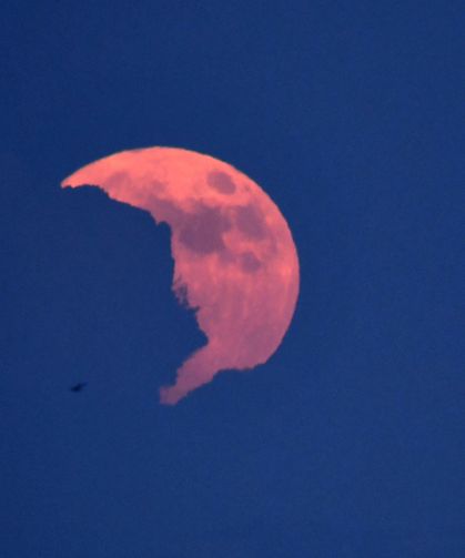 Van Gölü'nde iki eşsiz güzellik bir arada