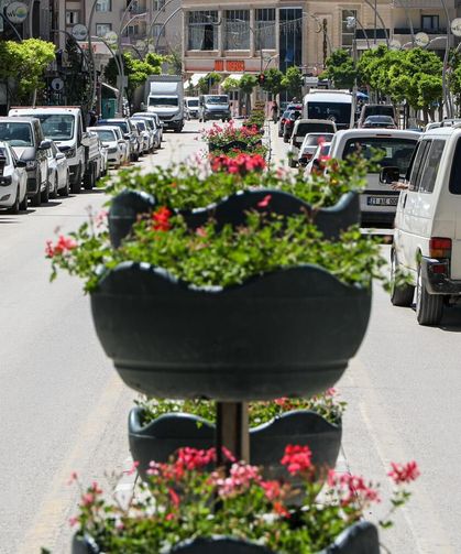 Van’da cadde ve orta refüjler sardunyalarla süslendi!