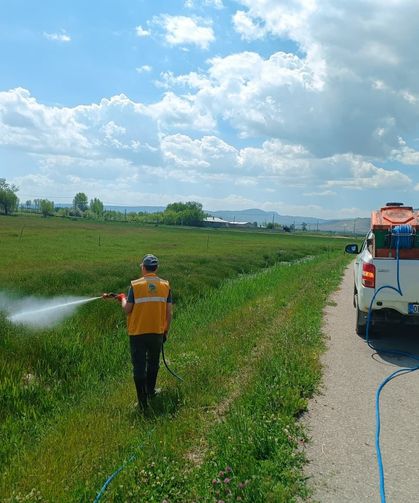 Vatandaş rahat bir nefes alacak: Van’ın sulak alanlarında ilaçlama seferberliği!