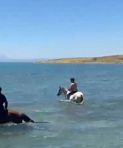 Van’da ilginç görüntüler! Gençler atlarla birlikte Van Gölü’nde serinledi
