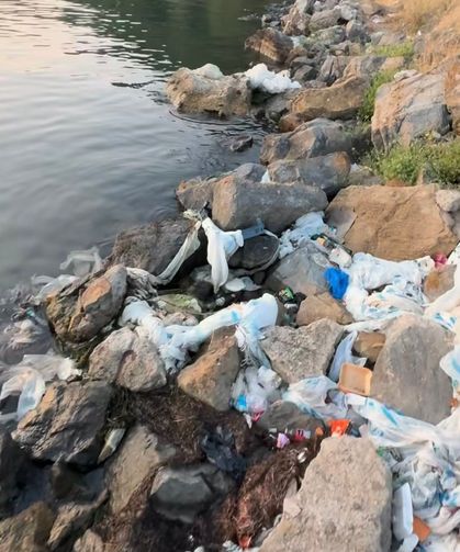 Van Gölü’nde tehlike büyüyor!