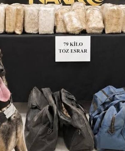 Şüphe üzerine durdurulan tırdan kilolarca uyuşturucu çıktı