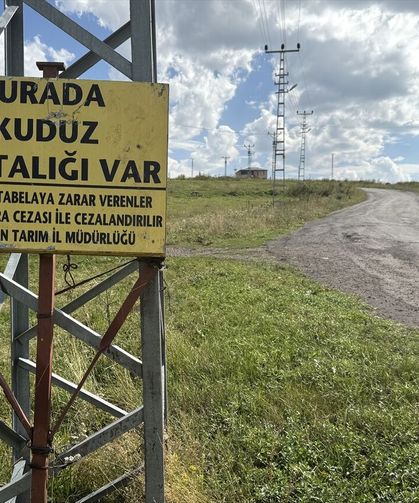 Bir kuduz vakası daha! Bölge karantina altına alındı