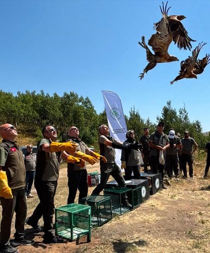 Van’da tedavileri tamamlanan kuşlar doğaya salındı!