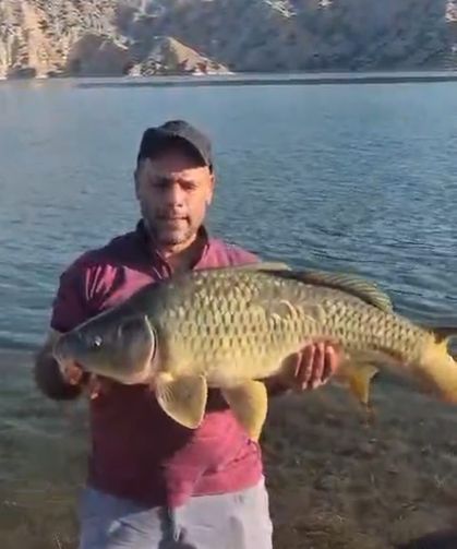 Gölde şok eden görüntüler: 10 kiloluk sazan yakalandı