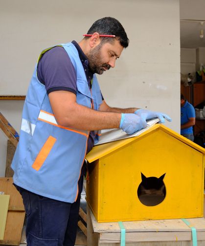 Van’da geri dönüşüm malzemeleri kedi kulübesine dönüşüyor!
