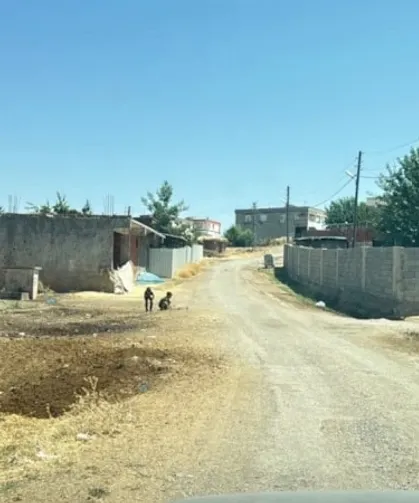 Kedinin ısırdığı 4 yaşındaki çocuk hayatını kaybetti!