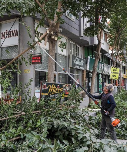 Van'ın cadde ve sokalarına Sonbahar dokunuşu!