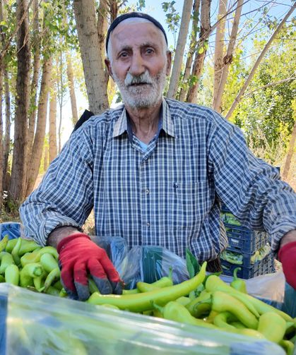 86’lık çınarın toprak sevdası: Vanlı Ahmet dede bölgenin biberlerini tek başına sırtlıyor!