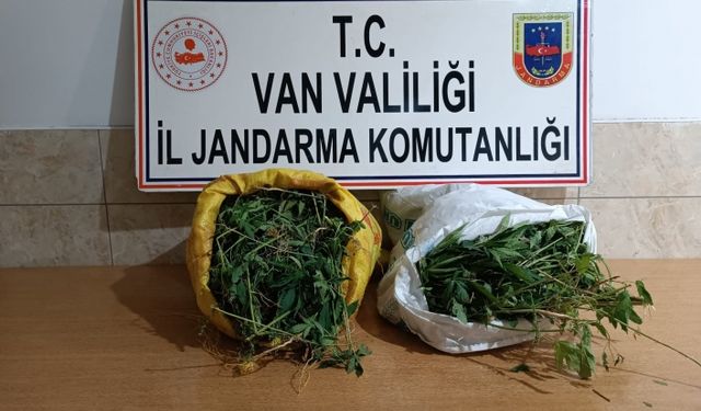 Van'da uyuşturucu operasyonu: 17 kilo 400 gram esrar ele geçirildi!