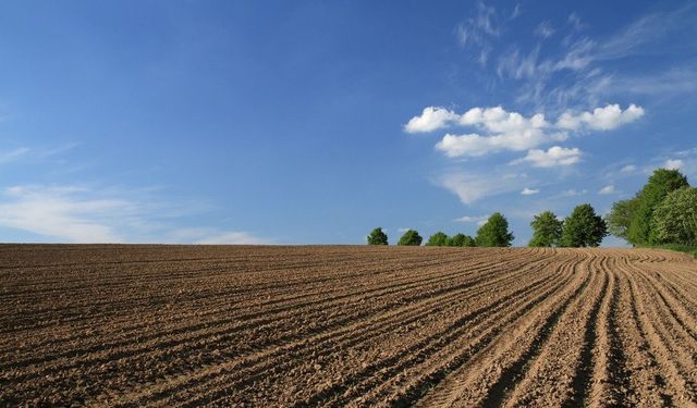 725 arsa satışa çıkıyor: Cebinde 400 bin TL olan arsa sahibi olabiliyor! İşte tüm deteylar