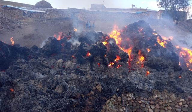 Saray'da 8 bin bağ ot yandı