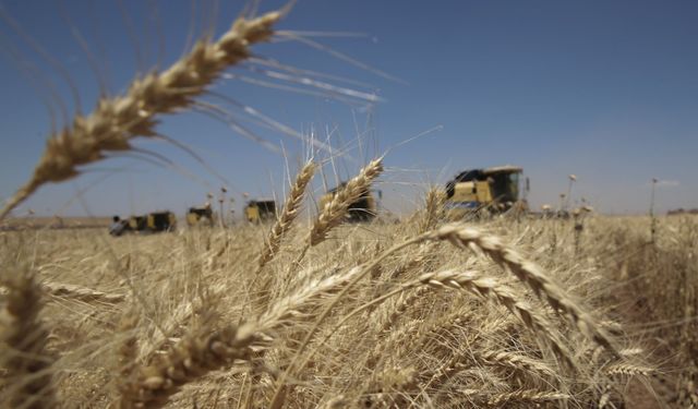 Tarımsal Üretimin Planlanması Kurulu oluşturulacak