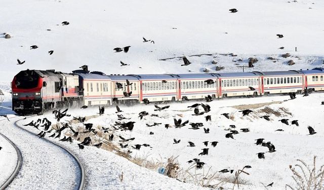 Van, ‘altın bilet’i kullanamıyor!