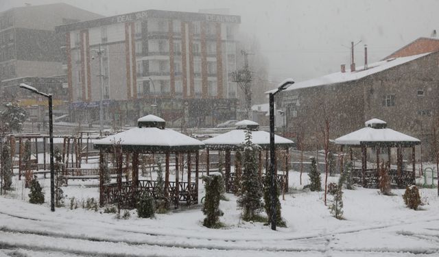 Van’da kar yağışı: Araçlar yolda kaldı, 7 yerleşim yerinin yolu ulaşıma kapandı!