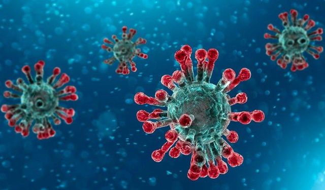 Çin’de deney: Yeni koronavirüs türü yüzde 100 ölümcül