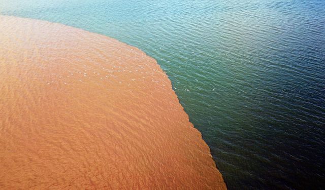 Van Gölü’nün rengi değişti