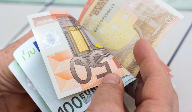 Euro kaç TL?