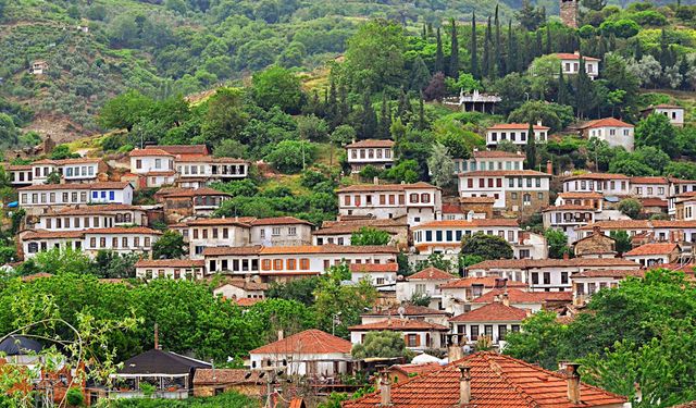 Van’ın turizmi için yeni bir çıkış önerisi: Turizm köyü!