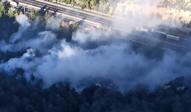 Mersin'de ormanlık alanda yangın!