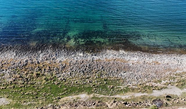 Mikrobiyalit tarlasına dönen Van Gölü, eski ihtişamını mı kaybediyor?  İşte gölde korkutan görüntüler…