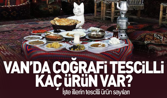 Van'ın kaç coğrafi işaretli ürünü var?