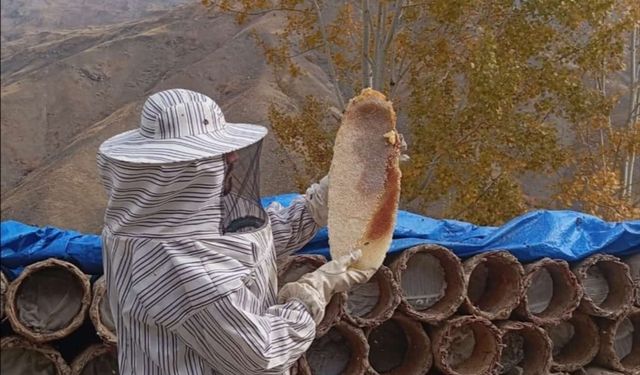 Van’da arıcılar karakovan balı hasadına başlandı