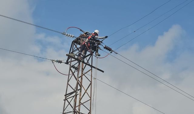 VEDAŞ kış öncesi enerji nakil hatlarının bakım ve onarımını yaptı!