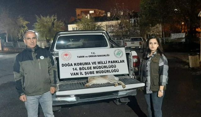 Van’da kaçak avlanan kişiye iki ceza birden! Ödeyeceği ceza pişman ettirdi…