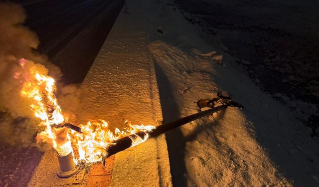 Van'da kısa devre yapan aydınlatma direği yandı