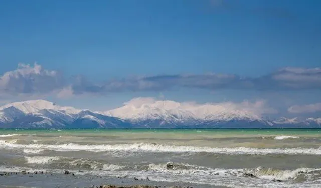 Van Gölü’ne ilişkin önemli uyarı!